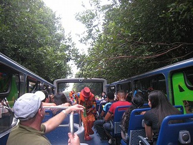 街にはたくさんの街路樹・・・当然こうなります。