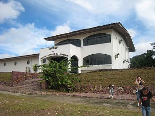 ここはアマゾン自然科学博物館　別名橋本博物館です。個人でつくられた博物館でアマゾンの昆虫や魚たちの標本がたくさんあります。