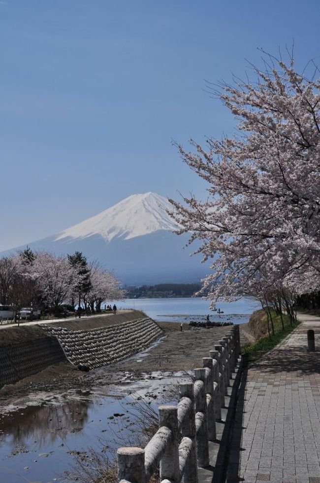 川口湖畔北側オルゴール館手前の廃ホテルの前の空き地に車を止め、長崎公園に向かう途中。ここからもきれいでした