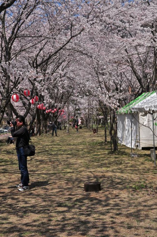 ここも一眼さんのメッカでした。。。しかもみんなプロっぽい