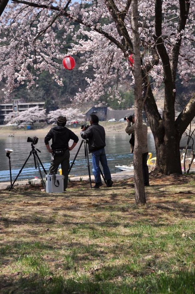 いい構図のところに必ず一眼さんの姿あり。後ろから申し訳なさそうに撮ってみると確かに構図はすばらしい！！