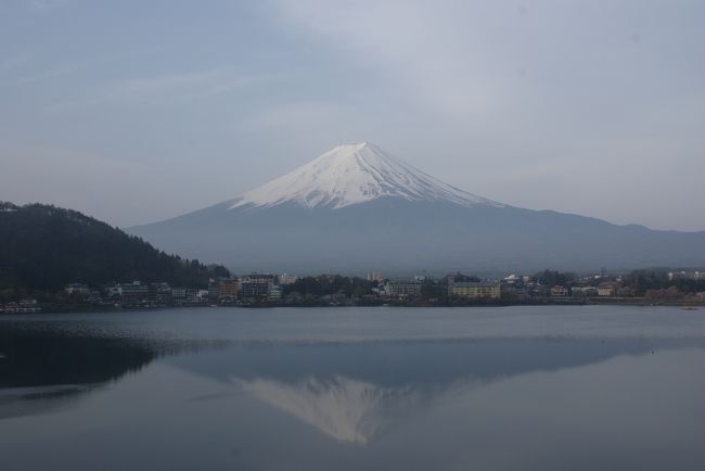 日の出の50分後<br />波が出てきました