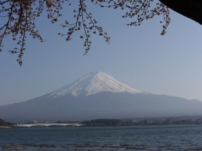 河口湖にて。<br />富士山はとてもかっこいいです！！<br />静岡や山梨の方はいつでもこんな素敵な山が<br />見られてうらやましいです。
