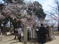 姫路城 (姫路公園)