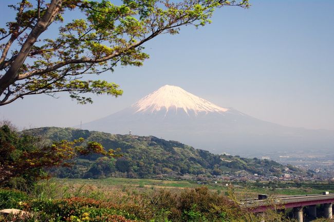 ドライブインより富士山