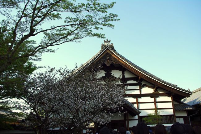 高台寺・・京都の高台寺を観光、秀吉とねねの寺です。庭園や枯山水庭園など、ほんとに見事でした。<br /><br />高台寺<br />http://www.kodaiji.com/