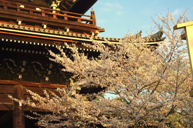 知恩院<br />http://www.chion-in.or.jp/