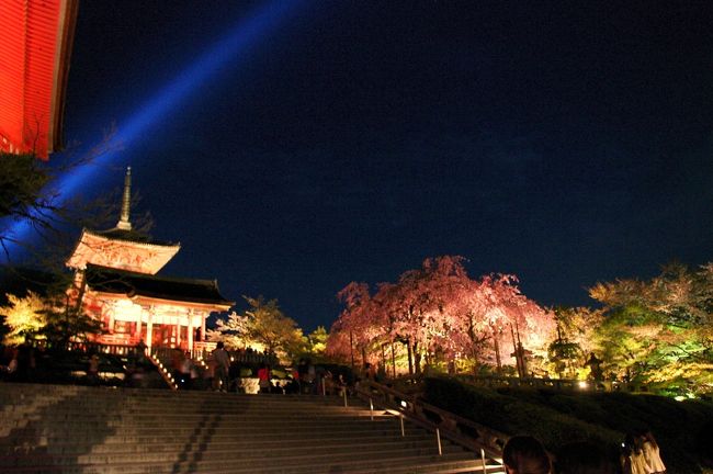 清水寺　ライトアップ・・有名な清水寺の夜桜ライトアプへ行きました。<br />結構混雑していましたが、それほどではありませんでした。2009年の5/31までご開帳もやっています。<br /><br />清水寺<br />http://www.kiyomizudera.or.jp/
