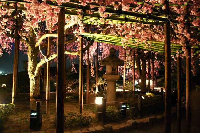 清水寺　ライトアップ