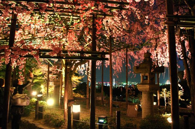 清水寺　ライトアップ