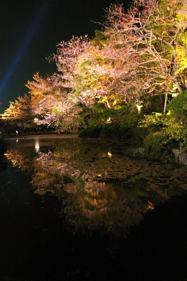 清水寺　ライトアップ