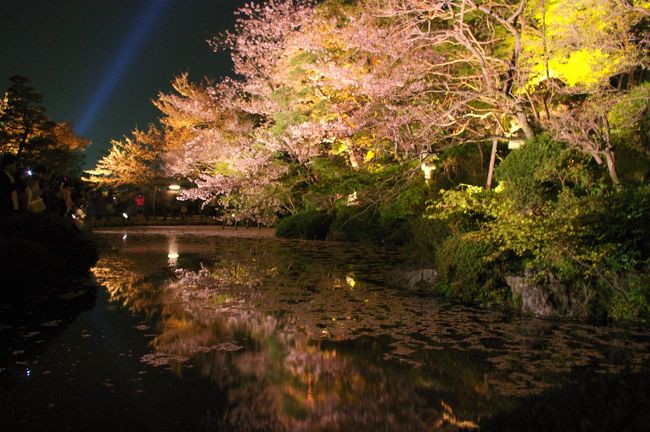 清水寺　ライトアップ