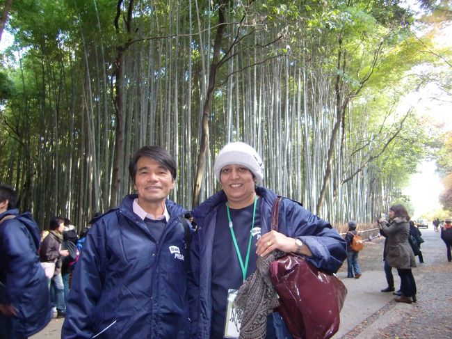 嵐山竹林（インド人引率教師と）