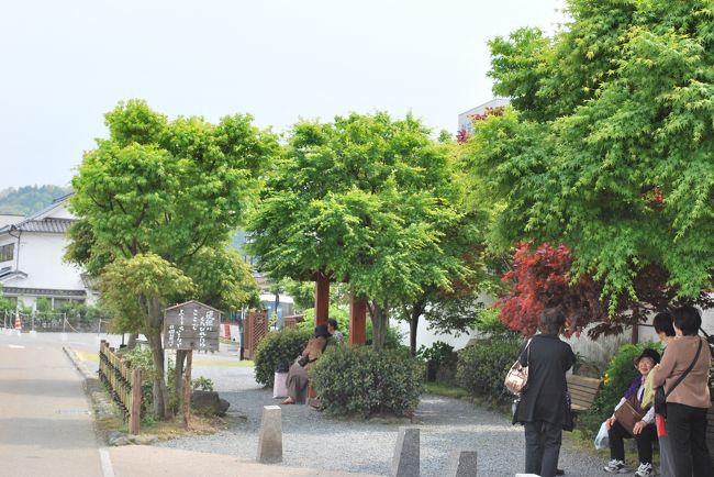 川沿いのミニパーク