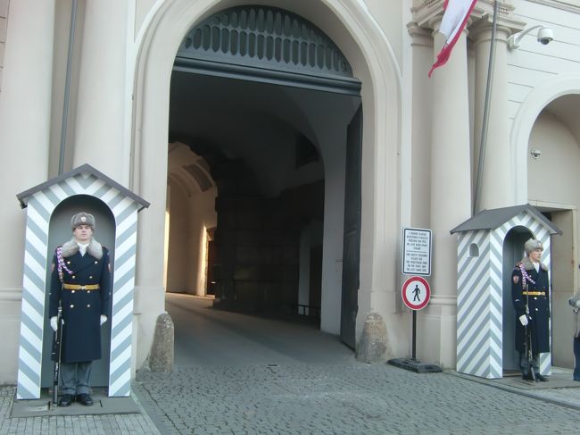 衛兵。<br />写真撮ろうが、横に立とうがもちろん動きません。<br />すごいです。