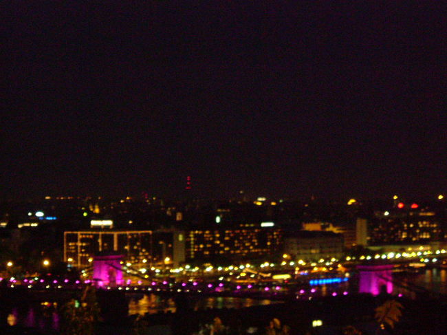 ピンクに光るくさり橋