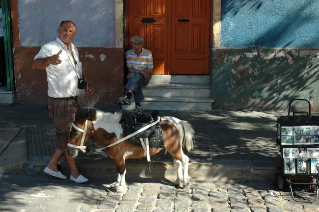 ポニーを撮ろうと思ったら、おやじさんがポーズを取ってくれました。