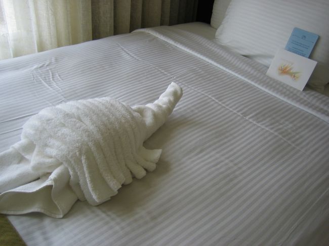 ベッドの上にはタオルで出来た亀さんがいました〜♪<br /><br />