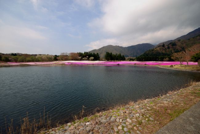 河口湖のインターを下りたらどこを探しても富士山の姿が見えません。　あるはずの処にはそっくり雲の姿・・　(p_q)