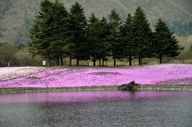 8時半、園の入り口に到着、9時開園なのにすでに5台ほど車の列が・・<br />気を取り直してカメラを片手に散策です