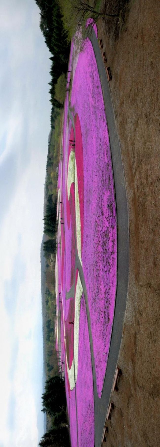 展望台に上がって全体を合成。　　晴れていれば左手に富士山が見えているはずなのに・・　(g>o