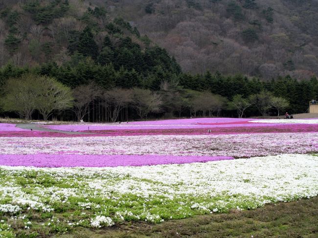 このあたりで半周です