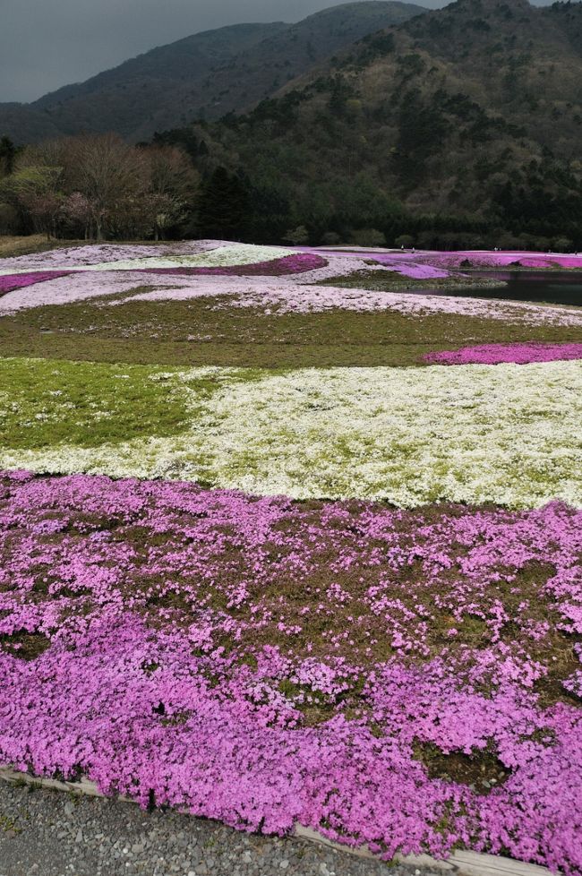 違う方向から見ると趣も又別です