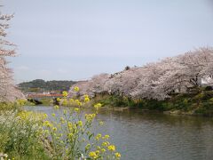 勝間田川さくらまつり