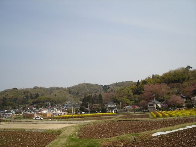 今日は花見には良い天気です♪<br /><br />桜のシーズンには福島駅東口から臨時バス「花見号」が出ています。バスに揺られること１５分で花見山に到着。<br /><br />バスを降りてからの風景。この先は車では行けないので<br />花見山まで１０分くらい歩きます。