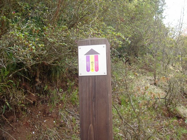 コースは３種類。<br />今回は頑張って６０分コースです。