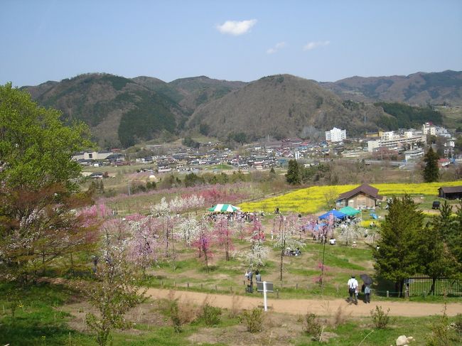 情報ステーションで聞いた飯坂温泉の「花ももの里」へ。<br />ちょうど今日お祭りをやっているそうなので･･･。<br />でも、行ってみたら地元のローカルなお祭りでした。