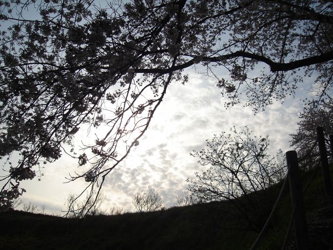 日も傾いてきたし、そろそろ帰りますか･･･。<br /><br />