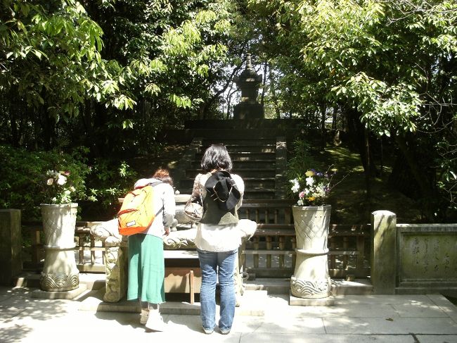 唐招提寺には"けい花"と言う日本ではこの唐招提寺と皇居にしかない木があり毎年、４月末頃から５月にかけて綺麗なお花を咲かすそうです。香りもすごくいいそうです。<br />この鑑真さんのお墓の横にもありました。<br />中国からの贈り物みたいです。当時の中国首相が植樹された石碑がありました。<br /><br />鑑真さんの墓前で合掌・・。<br />