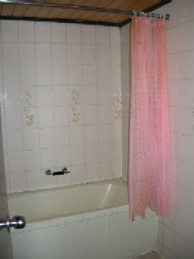 ピンクのシャワーカーテンが下品だわ〜