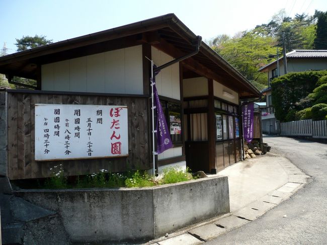 鳥居のお向かいは、ぼたん園。