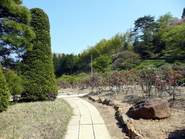 門は閉まっていますが、<br />見ますと、まだつぼみ。<br />種類も豊富で開花時は素敵ですよ。