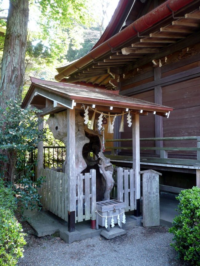 霊木が祀られています。