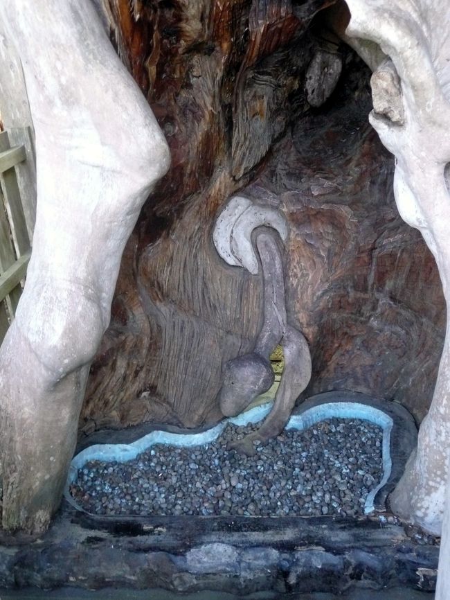 不思議なものですね。