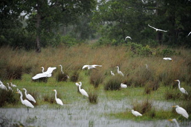 なお、詳しい旅行記と大きいサイズの写真を、次のホームページに乗せています（写真は一部ダブります）。<br /><br />　http://www.mars.dti.ne.jp/~haruo2/<br /><br />　カメラでお出かけ<br /><br />