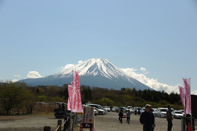 駐車場から見えた富士山です。
