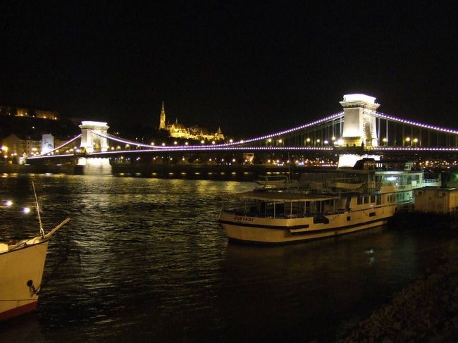 くさり橋<br />前年に見たピンクのくさり橋は何だったんだろう？？