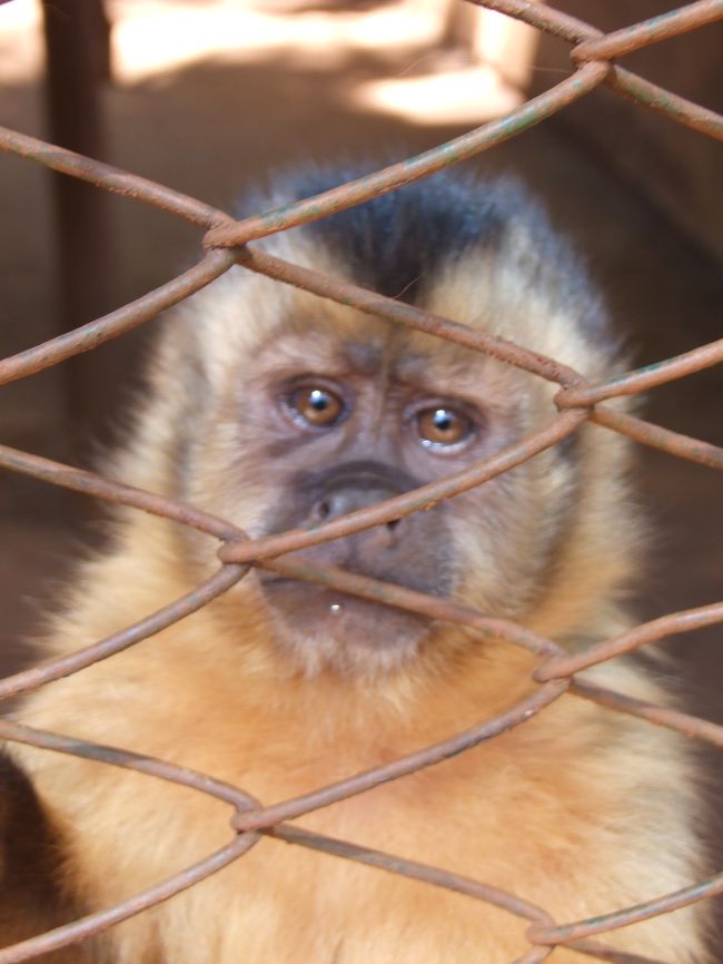 おれも出してくれや