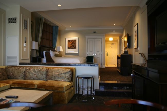 自宅の部屋が3つも4つも入る広さです。<br />この下がった部分ぐらいが自宅の大きさです（涙）。