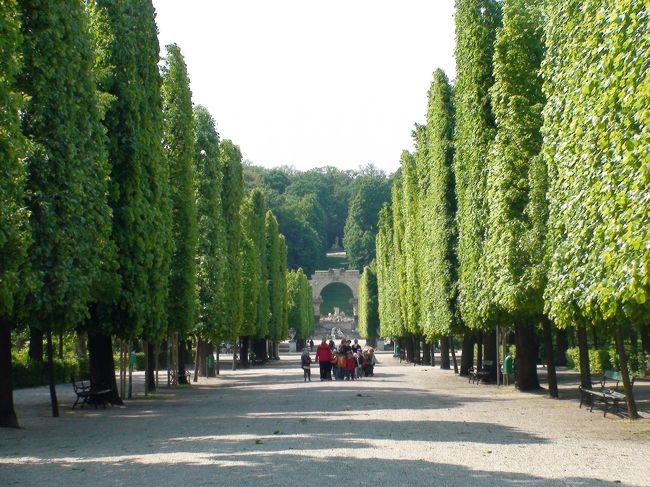 宮殿内は撮影禁止でした。<br />チケット売り場は混雑していませんでした。<br />日本語のオーディオガイドで個人的に見て回りました。オーディオガイドを聞きながら回るのに約１時間掛かります。<br />次に庭園に向かいます。<br />写真はシェーンブルン宮殿の庭園ローマ風の廃墟の前の並木道