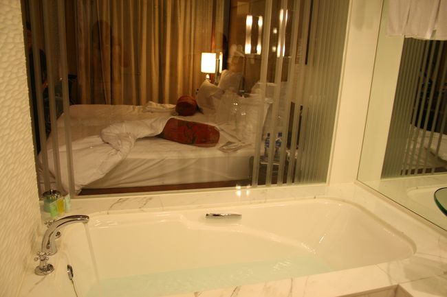 バスルームはシースルー。もちろん、ブラインドもかかります。