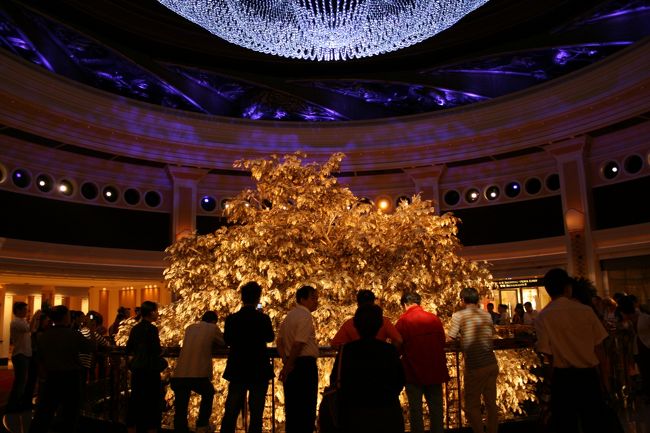 よく理解できない大掛かりな仕掛けのようです。