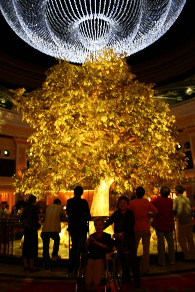 いつの間にか地下からの大きな黄金の木が・・・。成金・・・。