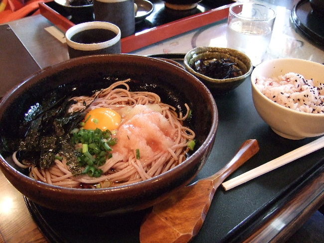 とりあえず腹ごしらえ。お茶するのを念頭において梅うどんでさっぱり。