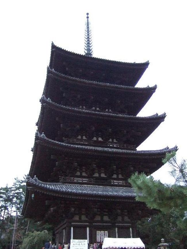 法隆寺の塔より力強いかんじですね