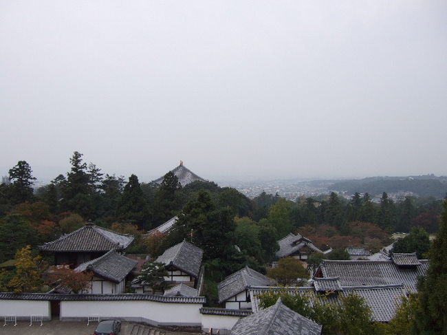 こういうのが日本の美しい景色だと思うなあ